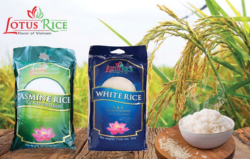 Lotus Rice